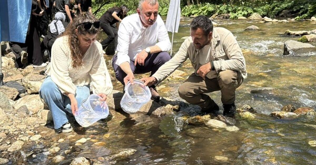 Kocaeli'de dereye 8 alabalık yavrusu bırakıldı