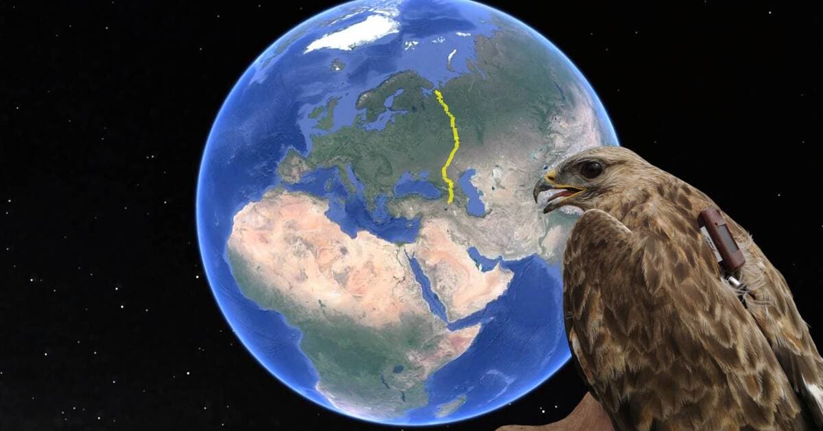Iğdır'dan Rusya'ya göç! 148 km'ye ulaştı