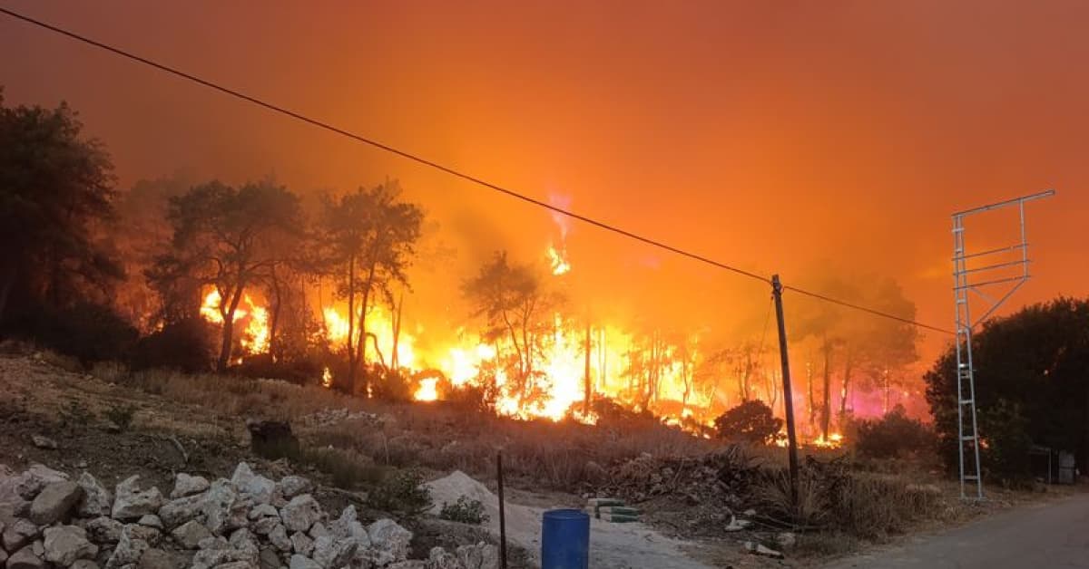 Antalya'da orman yangını