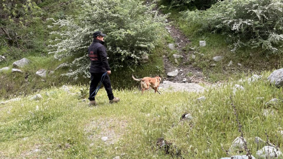 Sivas'ta kayıp bebek aranıyor