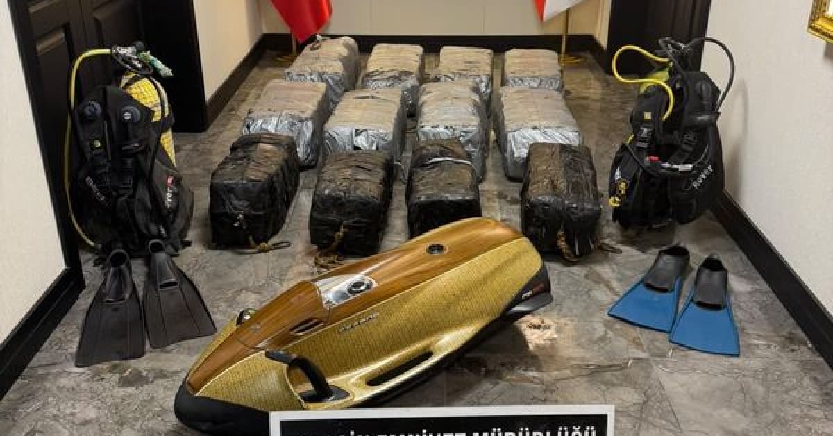 Mersin Limanı'nda 350 kg kokain ele geçirildi