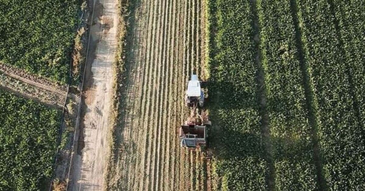 Kırsal kalkınma yatırımlarına 12,5 milyar liralık hibe desteği
