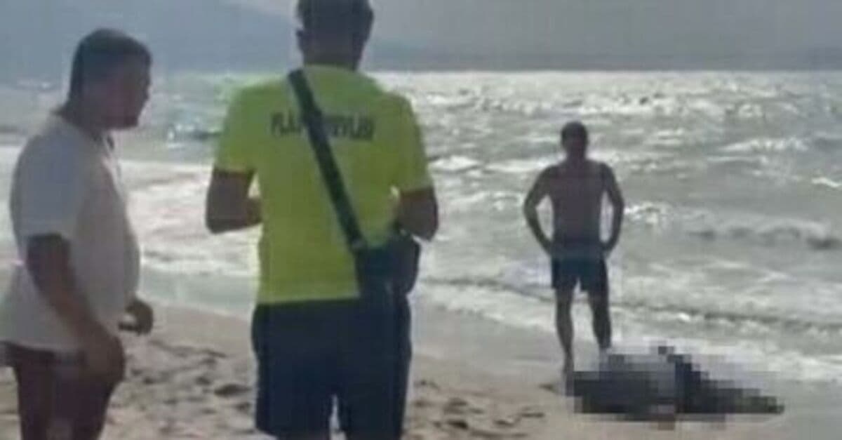 Yattan düşen iş insanının cesedi sahilde vurdu