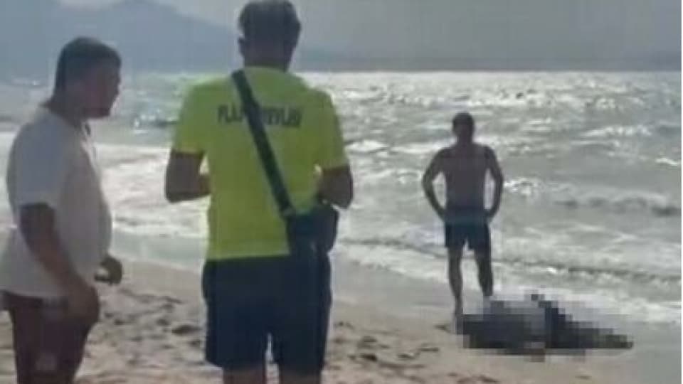 Yattan düşen iş insanının cesedi sahilde vurdu
