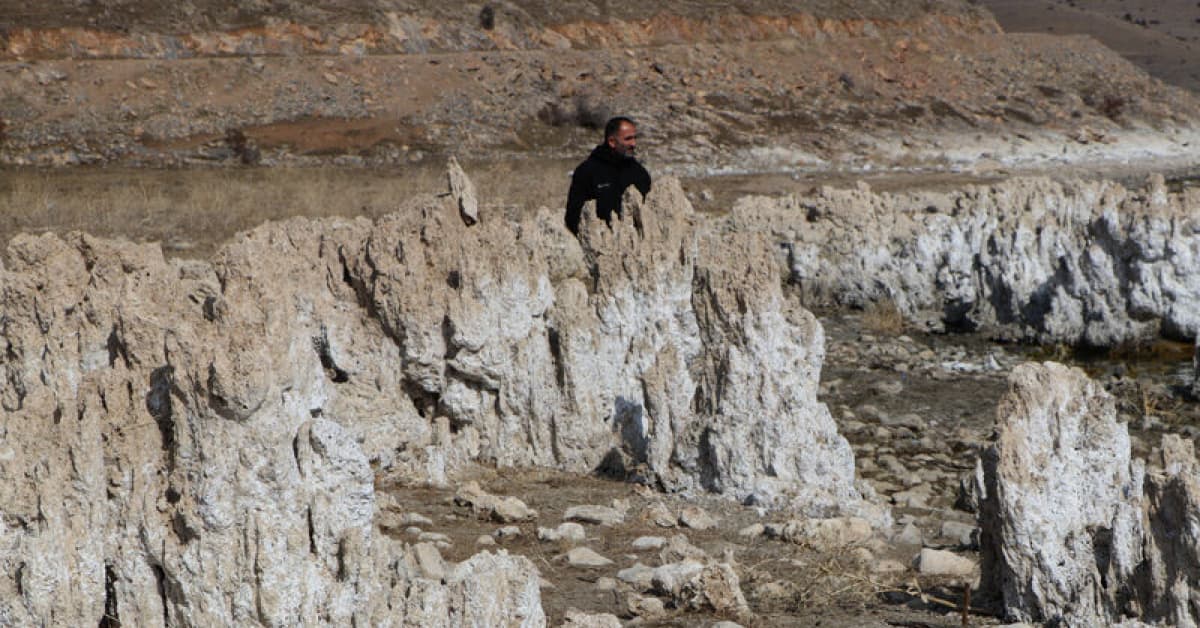 Türkiye, İtalya, Polonya ve Çin... Van Gölü'nün gizemini araştıracak