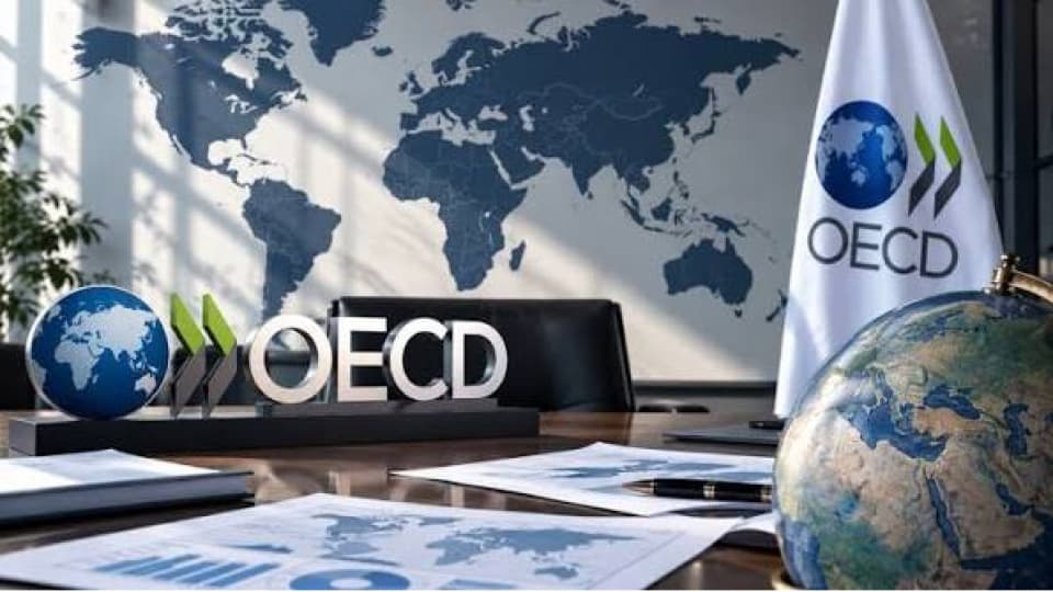OECD'den Türkiye ekonomisi için büyüme tahmini