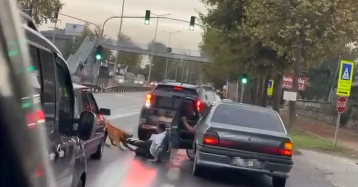 Köpek, yürüyen adama saldırdı