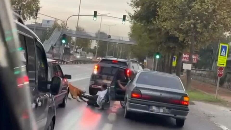 Köpek, yürüyen adama saldırdı