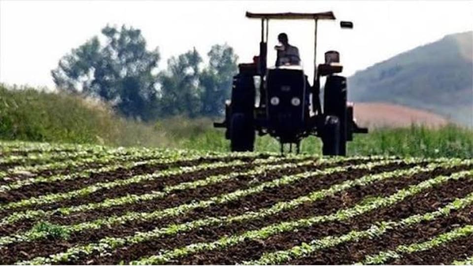Tarım-gıdaya 750 milyon dolarlık finansman