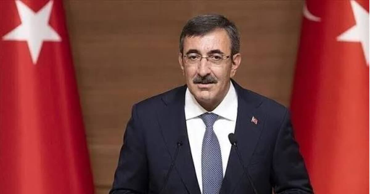 "Türkiye ekonomisinin 2029'da yüzde 5 büyümesini öngörüyoruz"