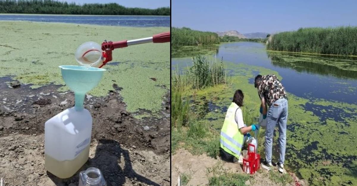 Gediz'de kirlilik yükselişe geçti