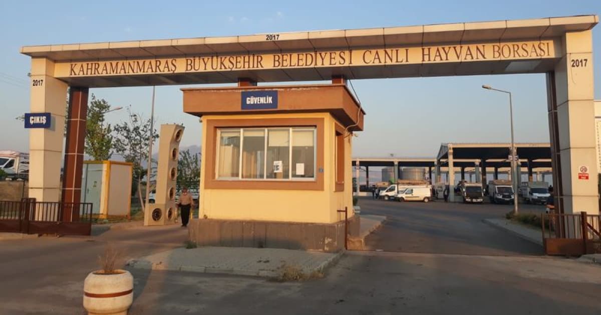 Kahramanmaraş Canlı Hayvan Borsası kapatıldı