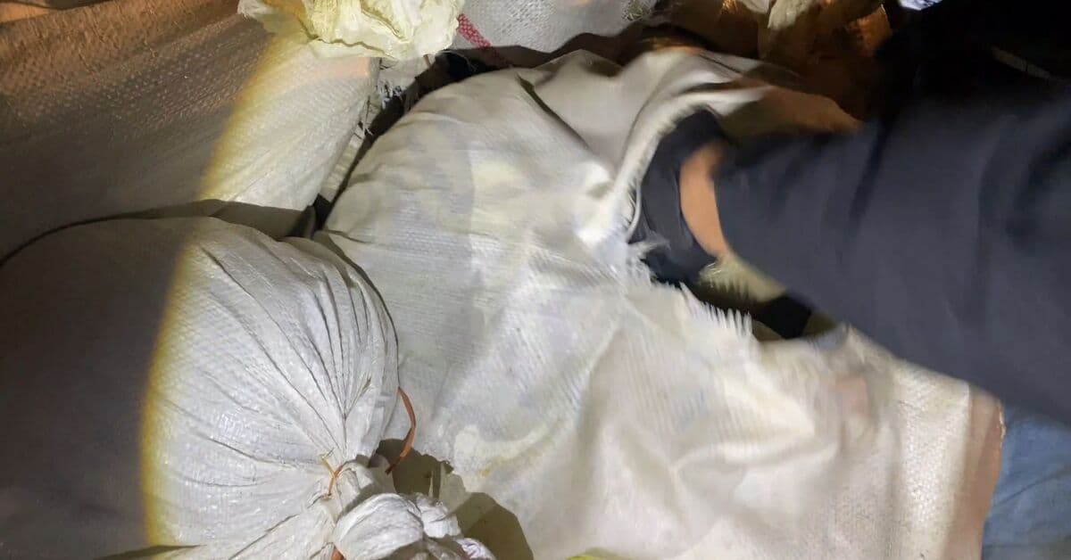 517 kilo uyuşturucu ele geçirildi