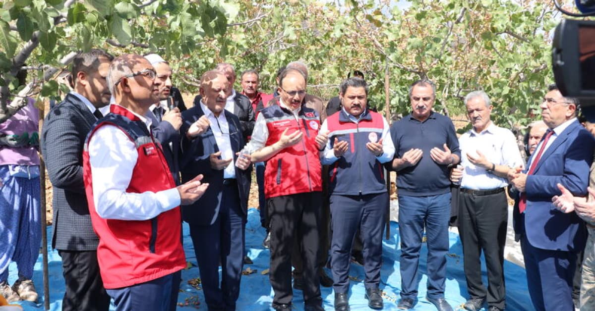 Siirt Fıstığı Doğa ve Kültür Festivali