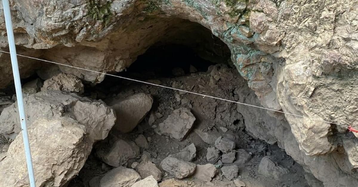 130 metre uzunluğunda! Mağarada nadir keşif