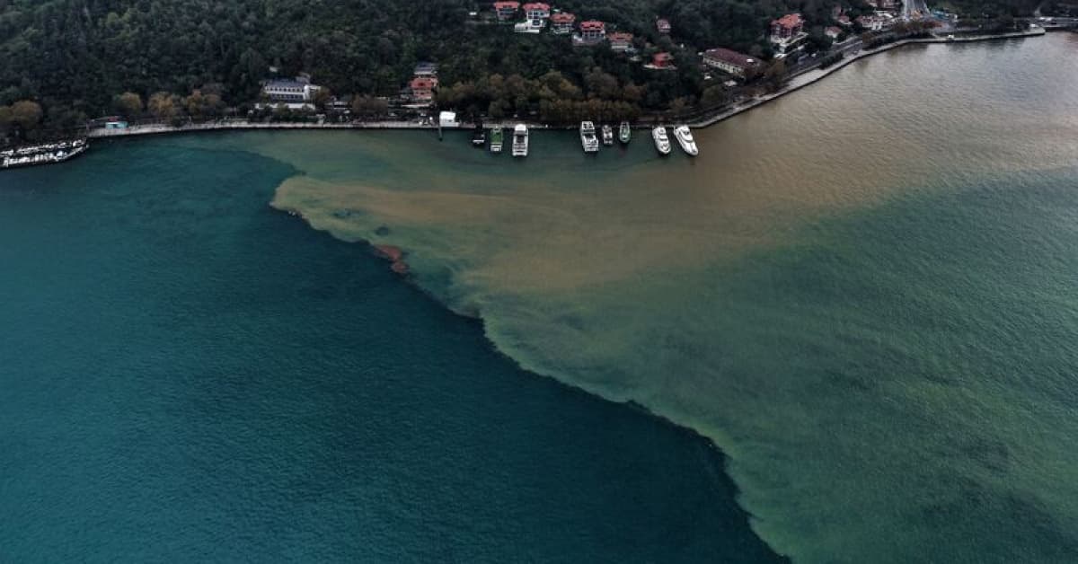 Kıyılar kahverengiye döndü