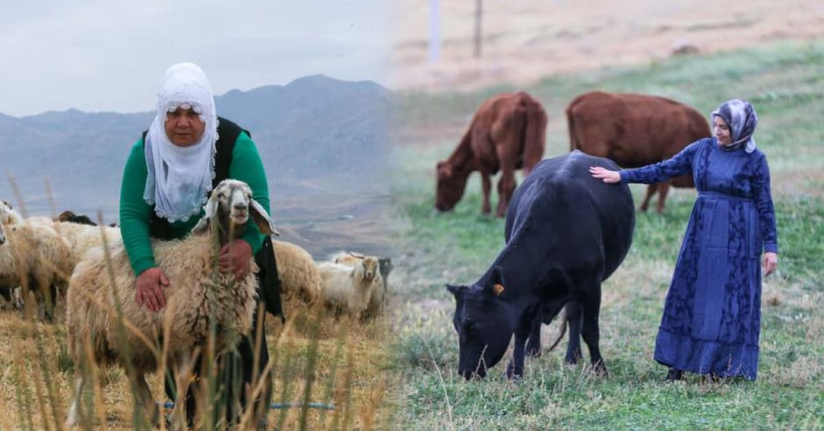 Devlet desteğiyle başladılar, iki katına çıkardılar