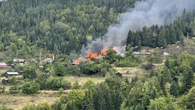Kastamonu'da köy yangını: 4 eve sıçradı