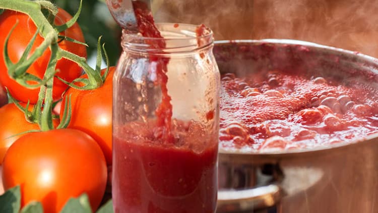 Kimse bu kadarını beklemiyordu: Sadece 2 kaşık yetti! Domates salçasıyla ilgili araştırma kafaları karıştırdı
