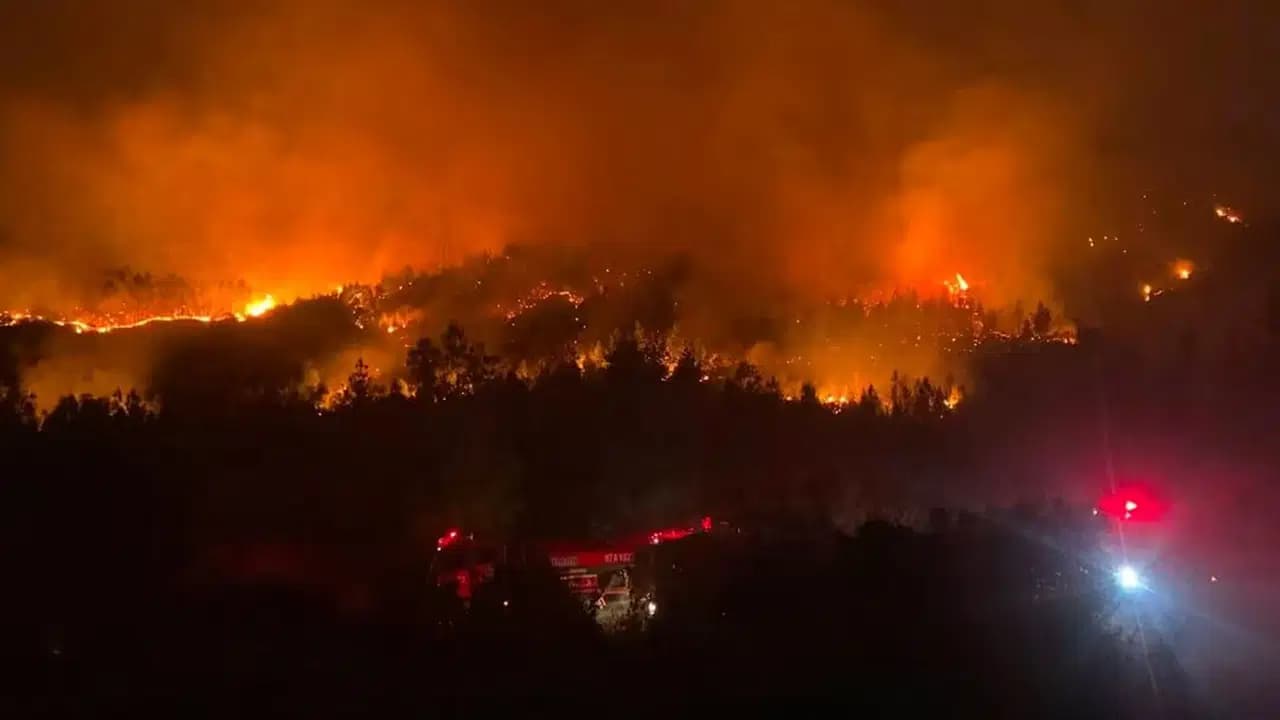 Antalya'da orman yangını sürüyor! 1 işçi dumandan etkilendi