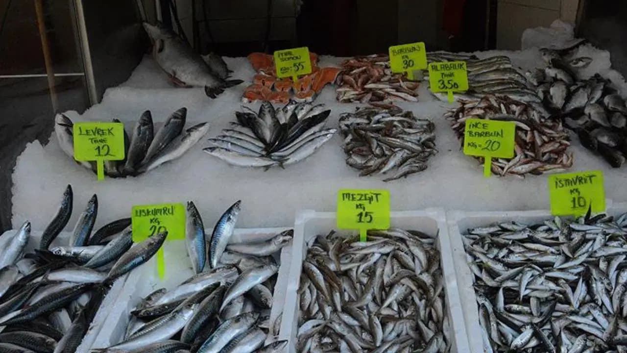 Ne istavrit ne çipura... Sabahın ilk saatlerinde kapışıldı! Tanesi 125 Lira