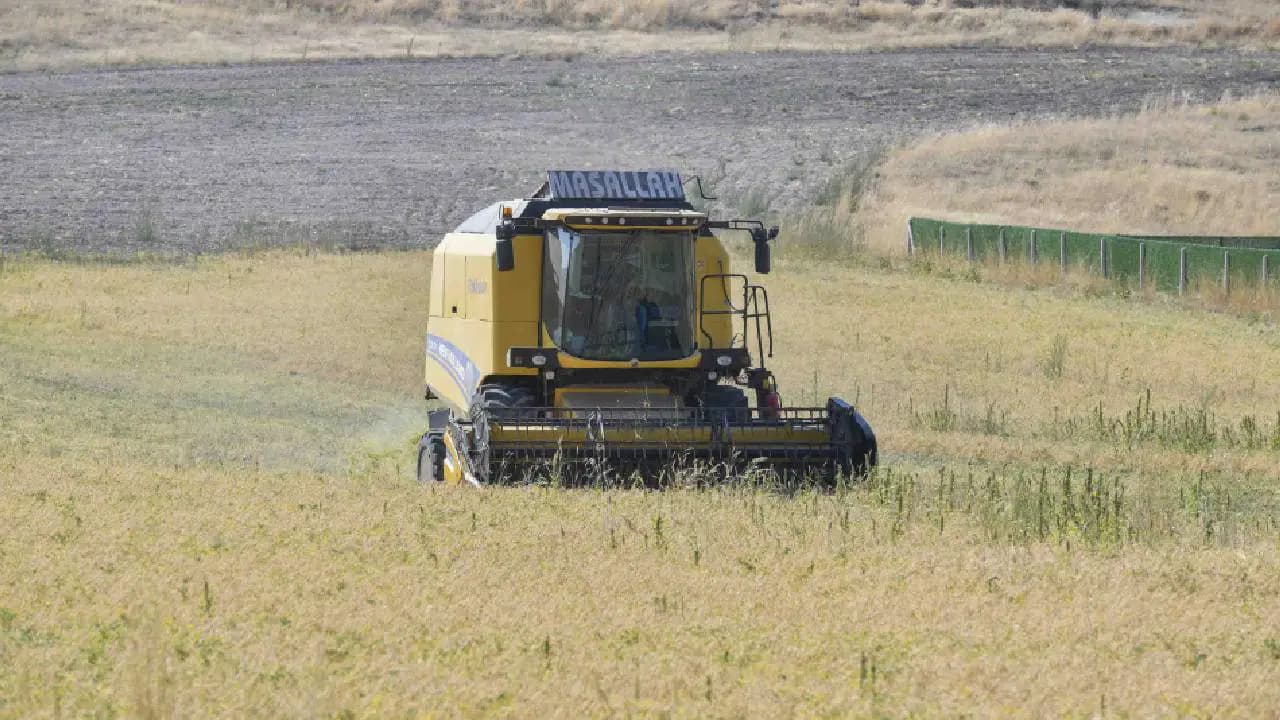 Ankara’da 4 bin 762 çiftçiye nohut desteği: 1,5 milyon kilo tohum dağıtıldı