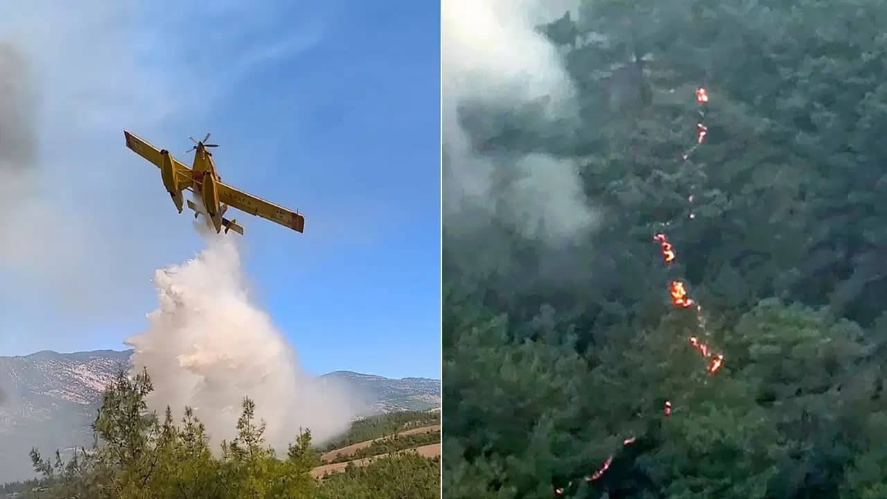 Kozan'da başlayıp 2 ilçeye sıçradı: Adana'daki orman yangını 3’üncü gününde