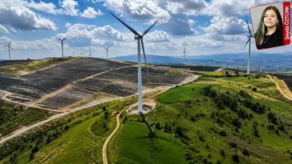 Danıştay’ın iptal ettiği proje döndü, bilanço son şekil verilen raporda ortaya çıktı: 14 bin ağaç kesilmiş