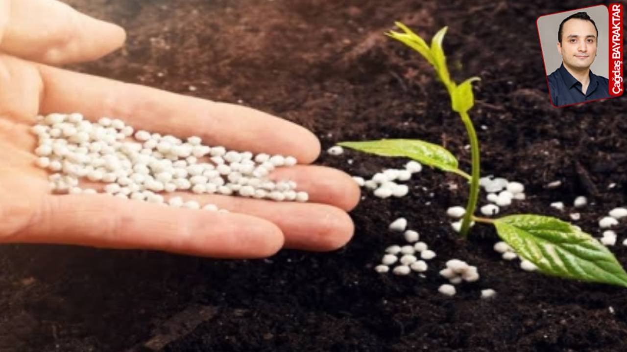 Doğanın insana sunduğu bereketin sihirli ikilisi: Tohum ve gübre