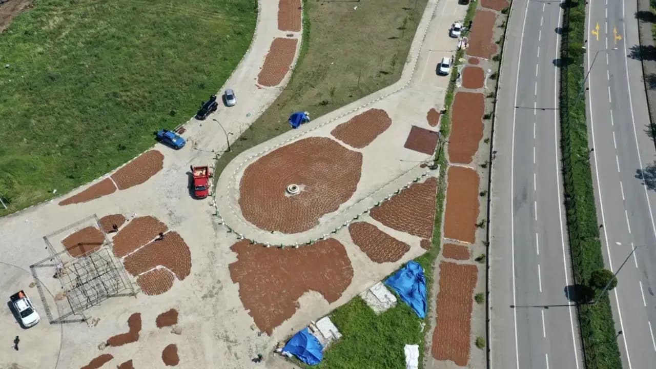 Fındık üreticisinin kurutma mesaisi başladı: Sahil yolu harman yerine döndü