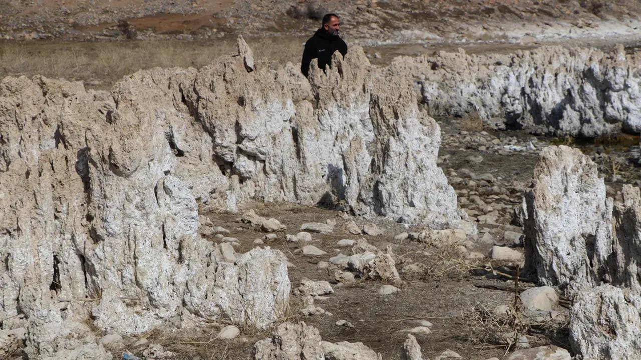 Van Gölü'ndeki 'dev mikrobiyalitlerin' sırrını uluslararası ekip araştıracak