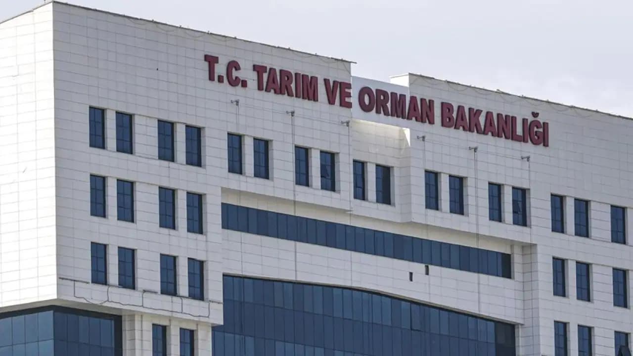 Veteriner hekimlerden Bakanlığa çağrı: 'Kan alma işlemleri ücret kapsamına alınsın'