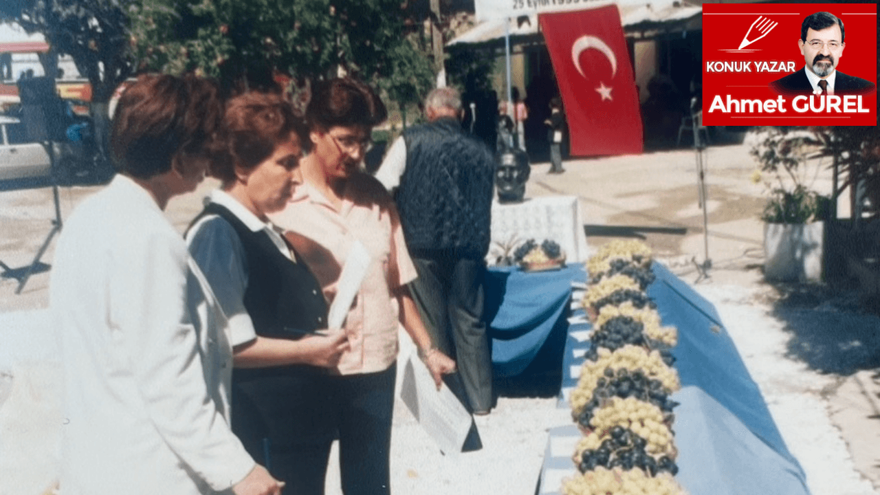 Kavacık Üzüm Festivali’nin ilki 1999 günü düzenlendi