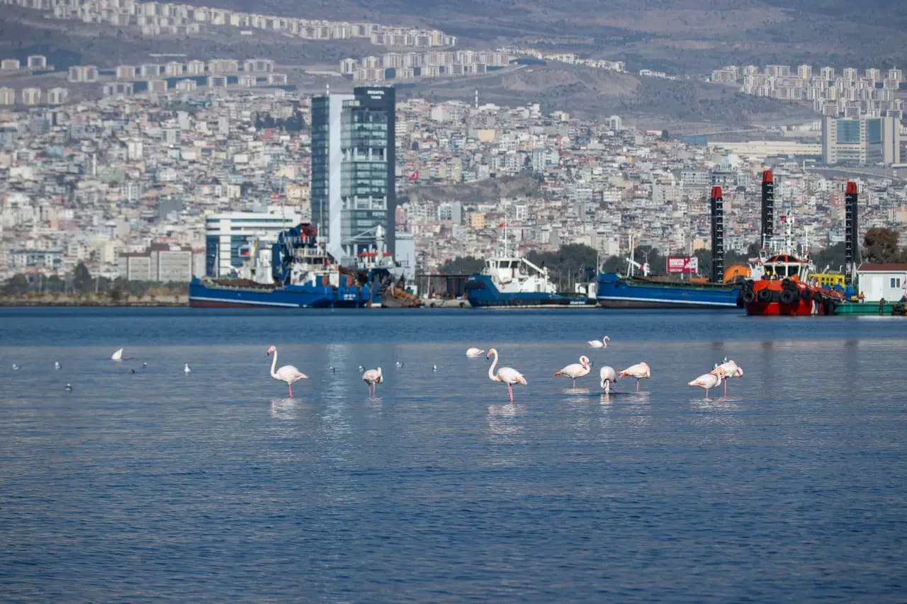 İzmir’in iklim deneyimi Avrupa’ya taşınacak