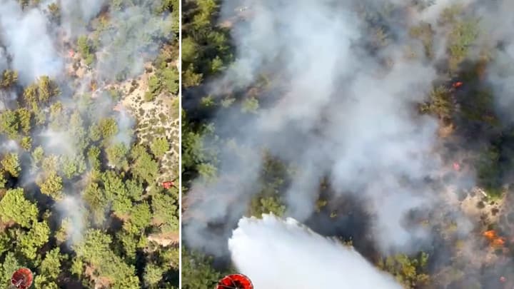 Antalya'da orman yangını! Havadan ve karadan müdahale ediliyor