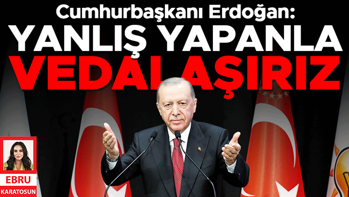 Erdoğan: Devlet Denetleme Kurulu görevde