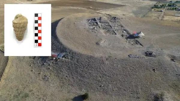 Ankara'da ezber bozan keşif: Külhöyük kazılarında 66 milyon yıllık deniz canlısı fosili bulundu