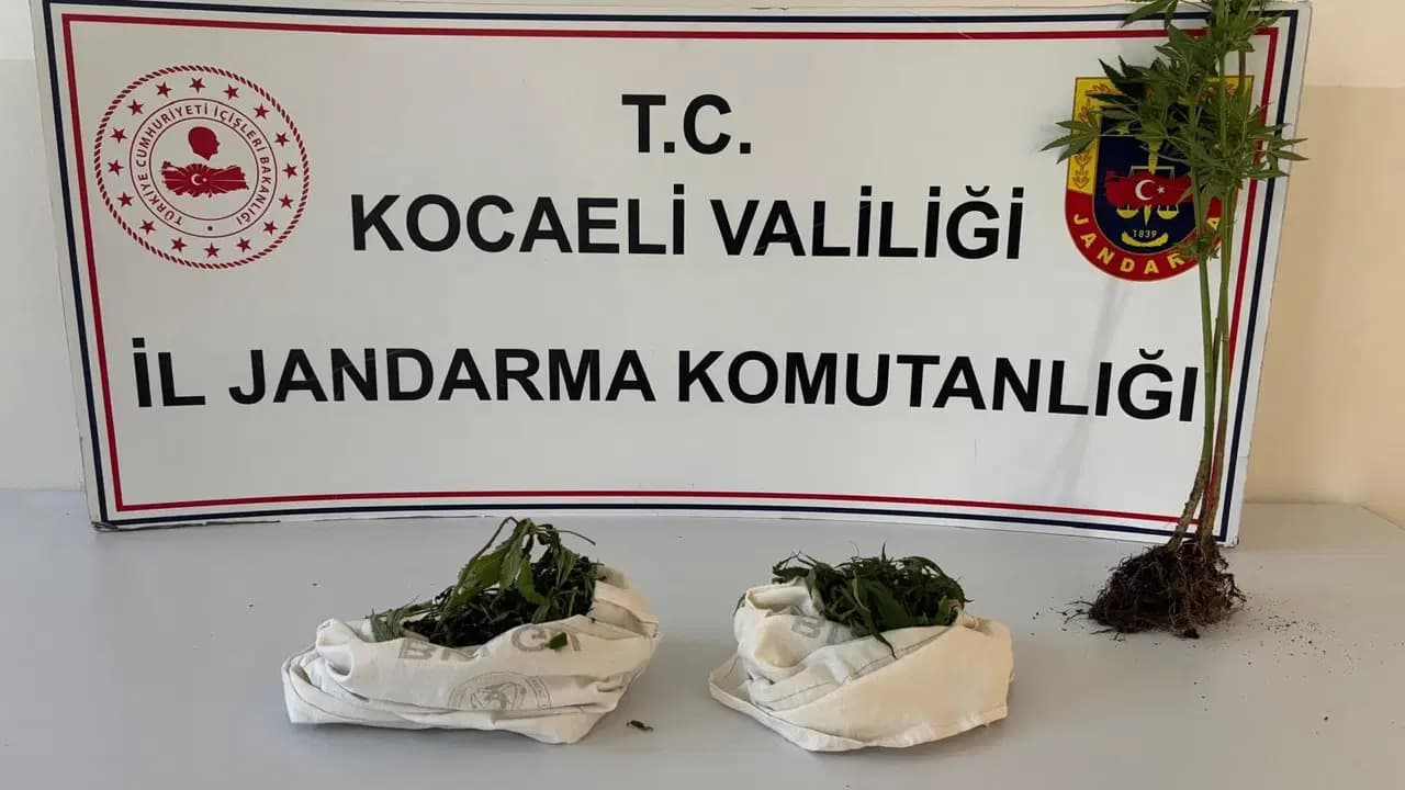3 adrese baskın yapıldı... Kocaeli'de 'uyuşturucu' operasyonu: Bin 12 uyuşturucu hap ele geçirildi